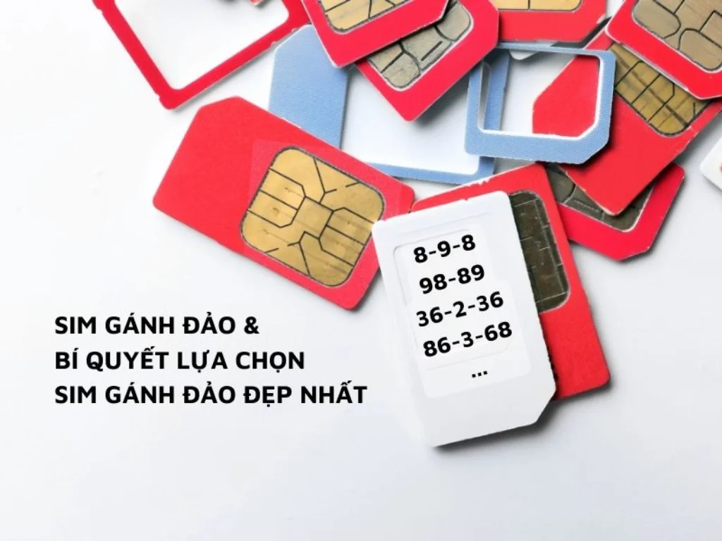 Sim gánh đảo lựa phù hợp nhất mang lại tài lộc và thịnh vượng