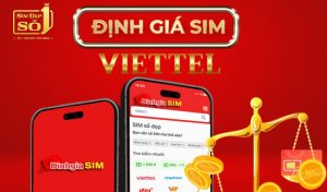 Định giá sim Viettel